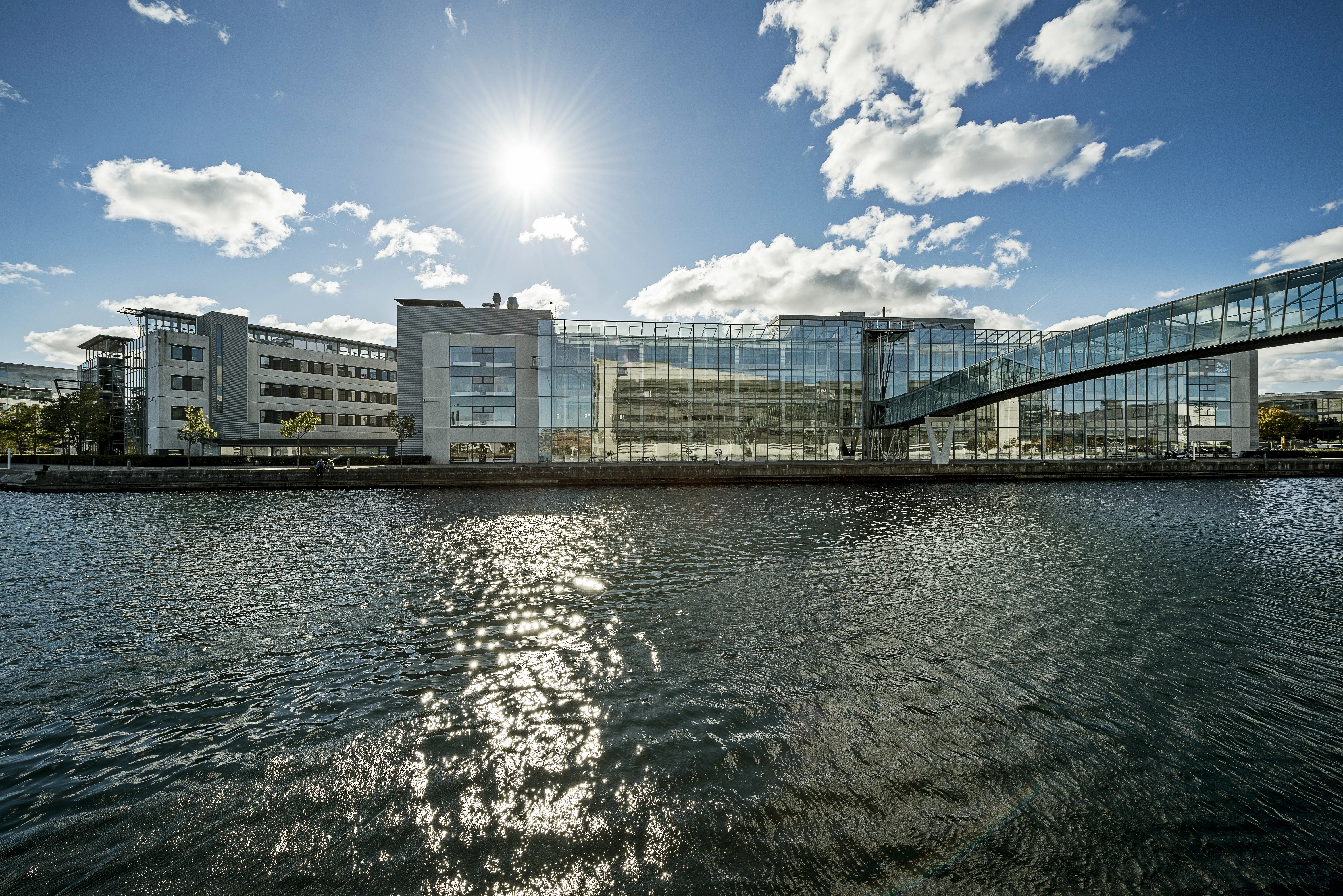 Aalborg University